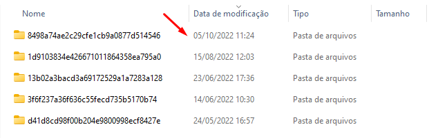 data_de_modifica__o_das_pastas.png