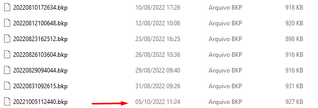 data_de_modifica__o_do_arquivo_bkp_na_pasta.png