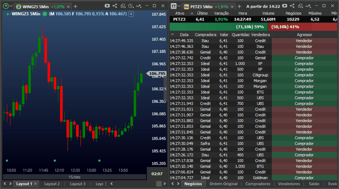 temporizador_de_ativos_no_grafico_e_times_and_trades.gif