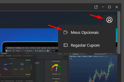 meus_opcionais_no_profit_store.png