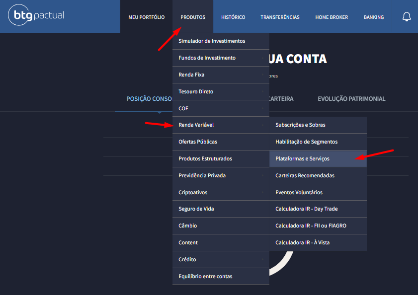 plataformas