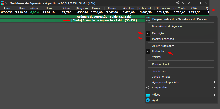 primeira_janela_de_configura__o_do_medidor_de_agress_o_no_profit_com_setas_apontando_comandos_para_exibir_informacoes_adicionais.png