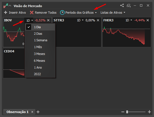 Defina_o_periodo_dos_ativos.png