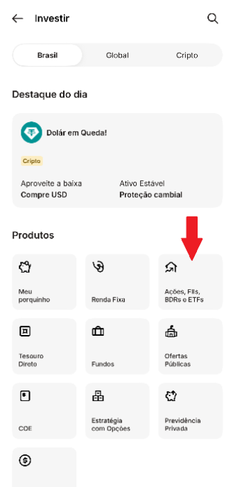 ações FIIS BDRs e ETFs.png