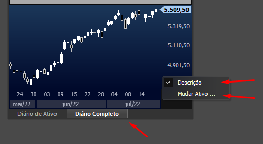 opcoes_diario_de_trades.png