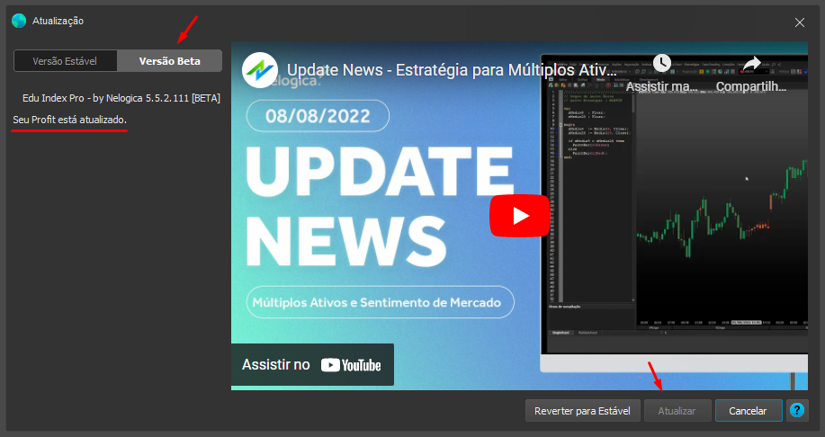 profit_atualizado_na_versao_beta.png