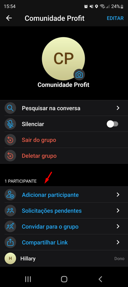 opcoes_no_grupo_do_chat_mobile.png