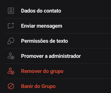 opcoes_participante_do_chat_mobile.png